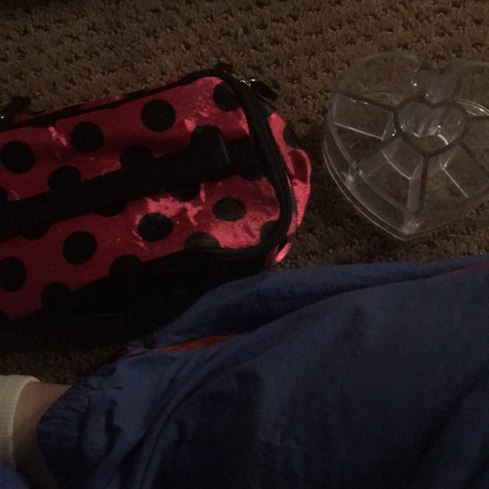 Makeup bag with plastic organizer